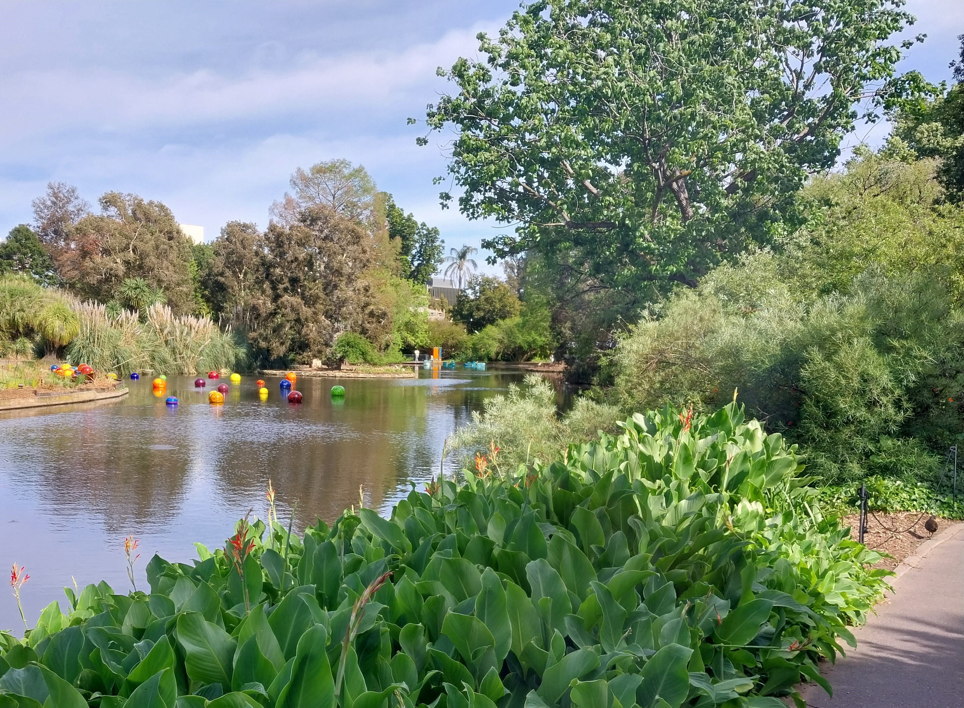 Botanical gardens Adelaide.