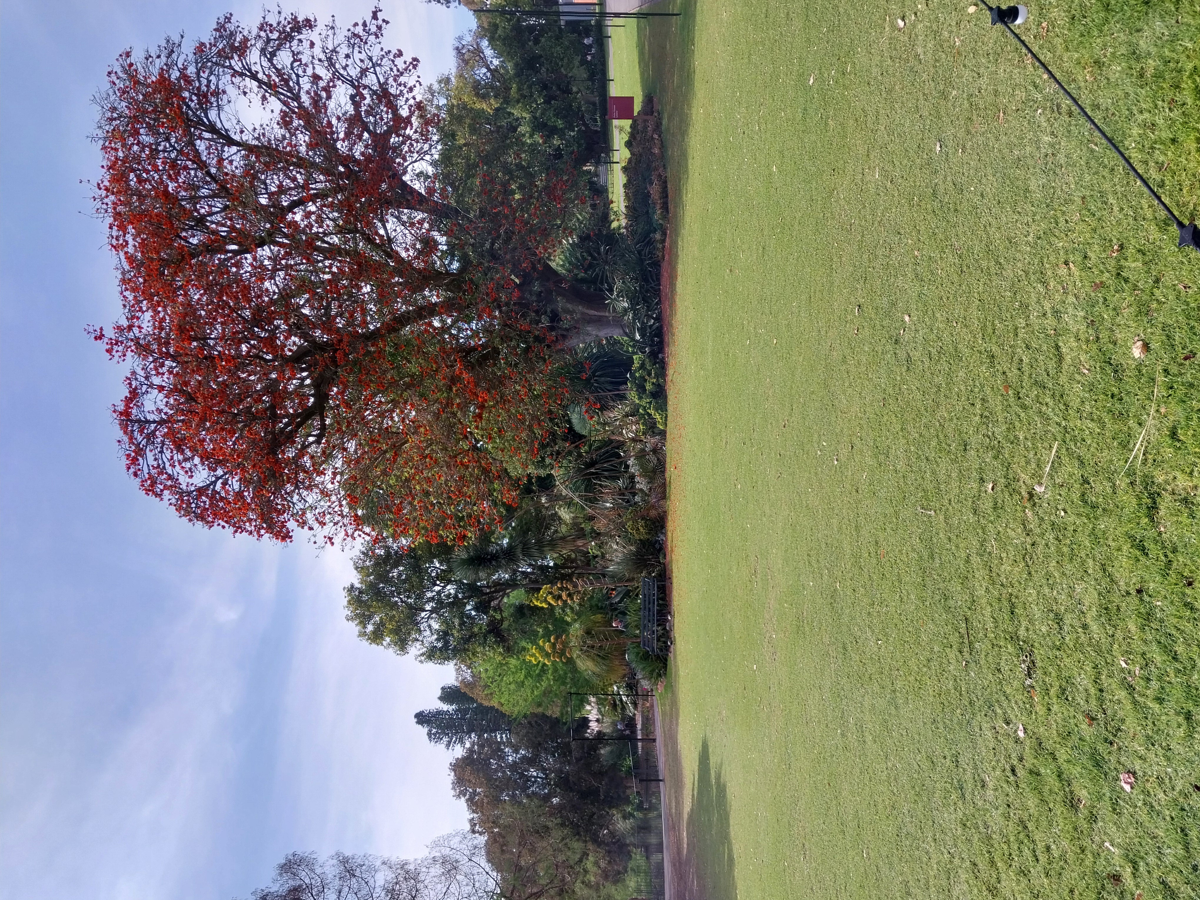 Botanical gardens Adelaide.