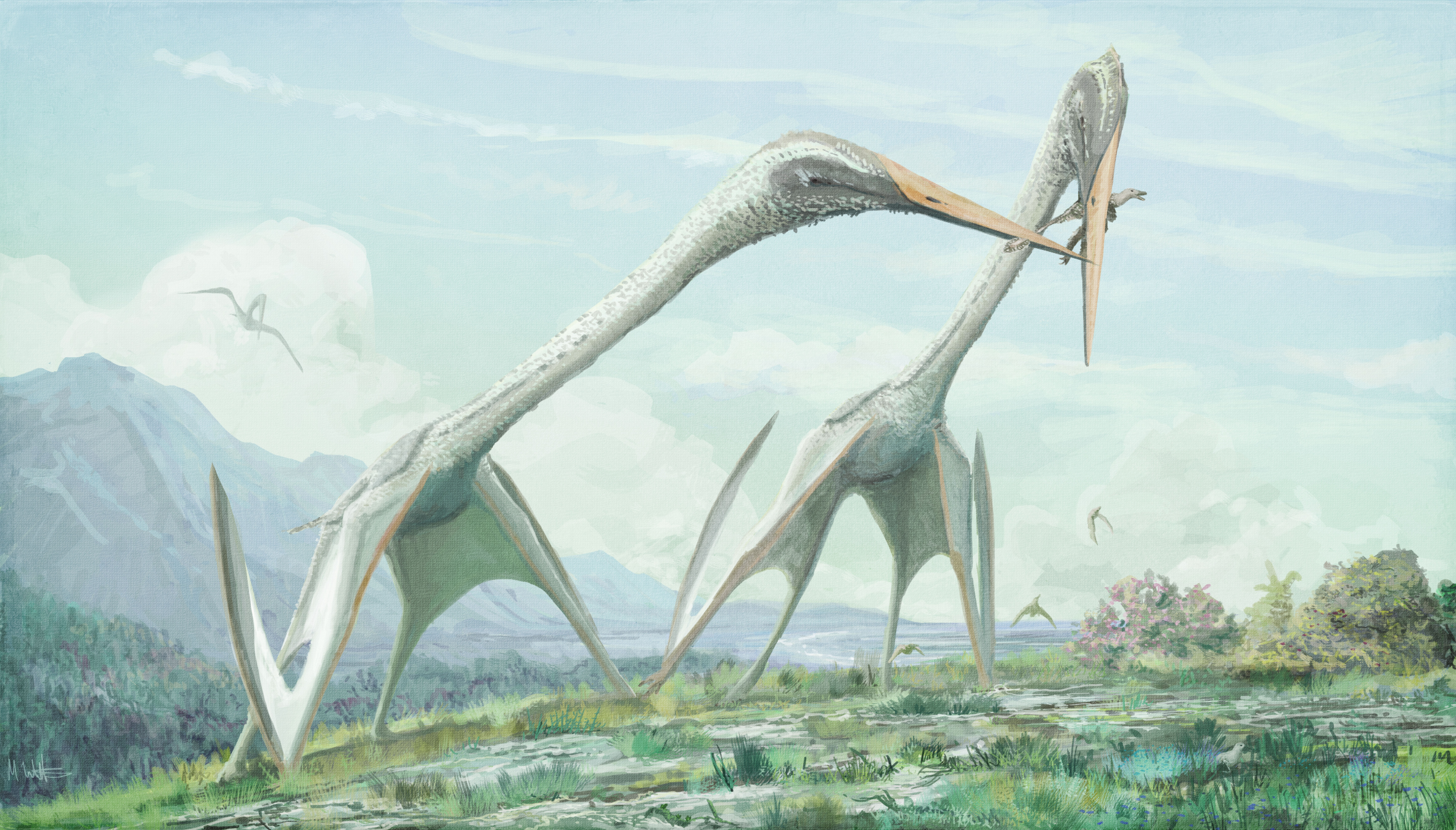 pterosaurs